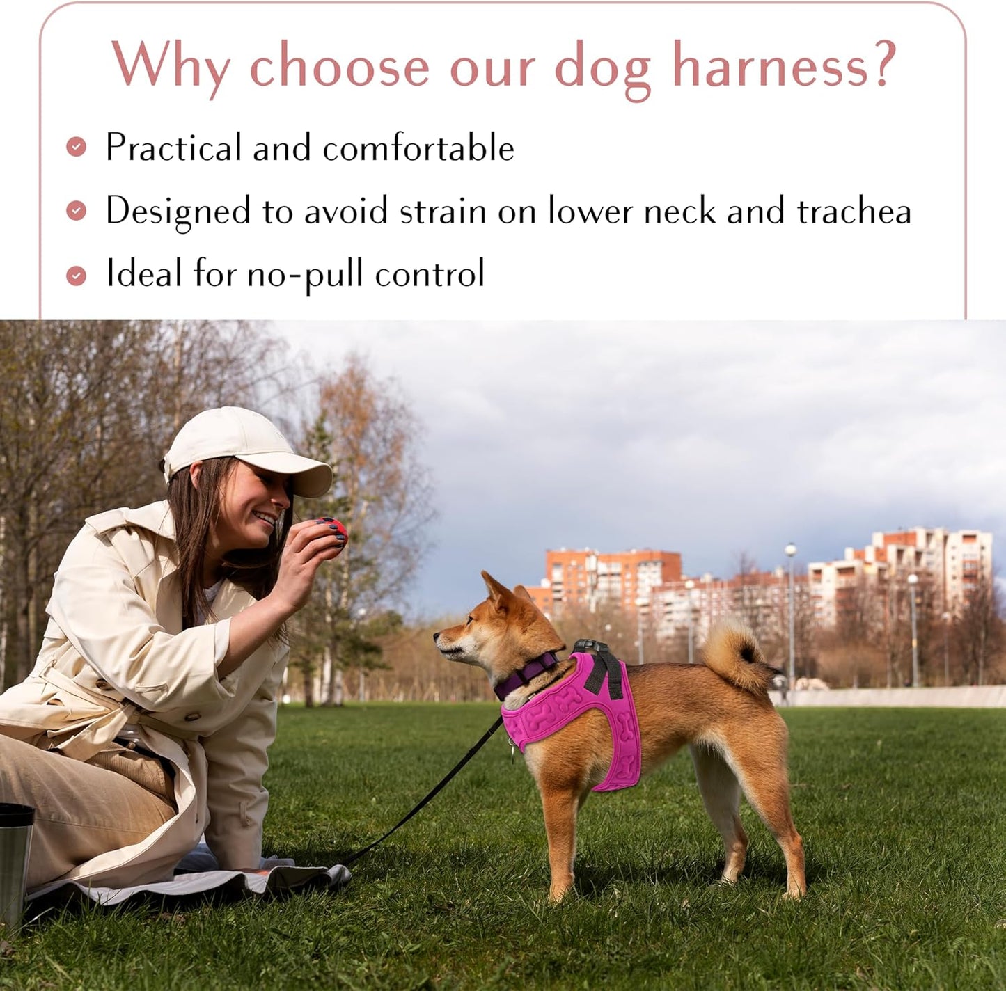 Comfort Fit Dog Harness - Comfortable Puppy Harness & Dog Vest: Adjustable, Soft Padded for Small, Medium Dogs - Easy to Put-On Dog Harness Medium Sized Dog