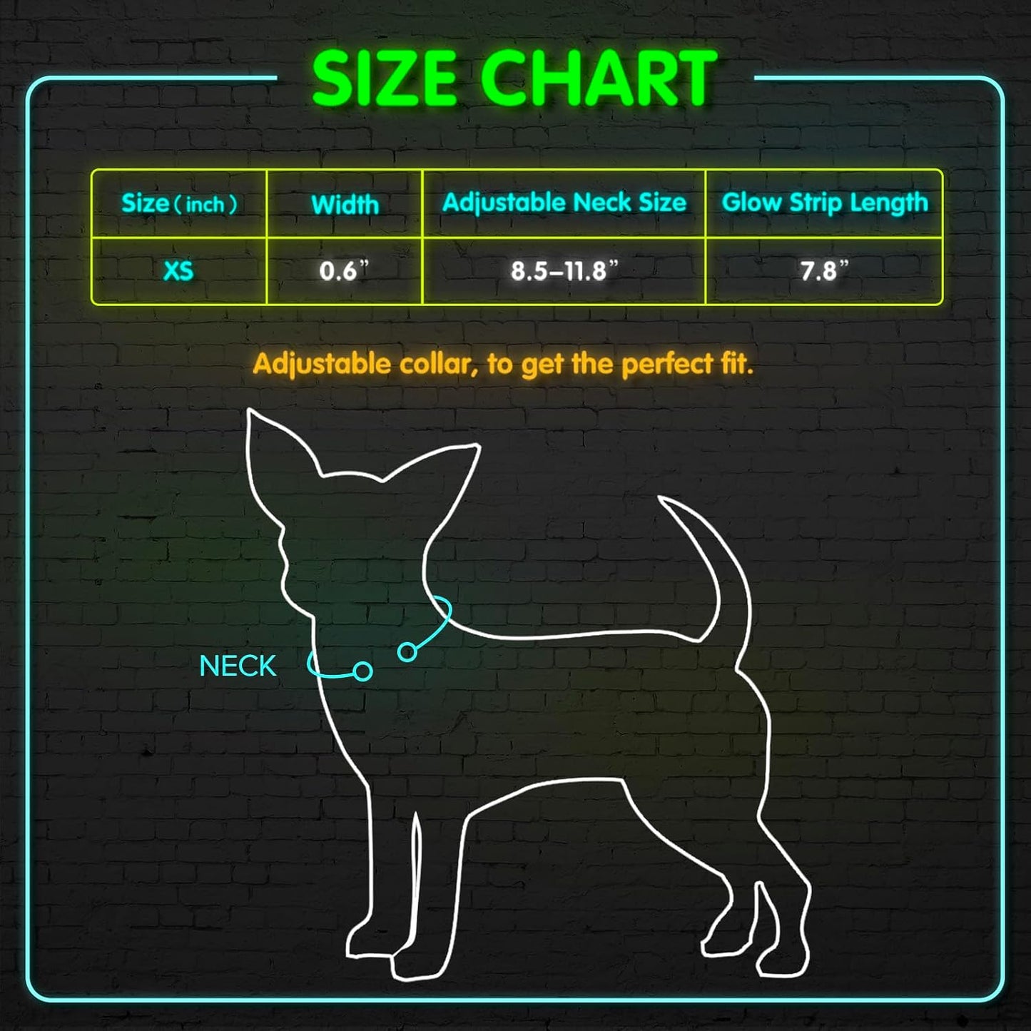 Light up Dog Collar - Reflective LED Dog Collar Rechargeable Glowing Cat Collars Adjustable Puppy Collar Safety Dog Lights for Night Walking (Blue, XS)