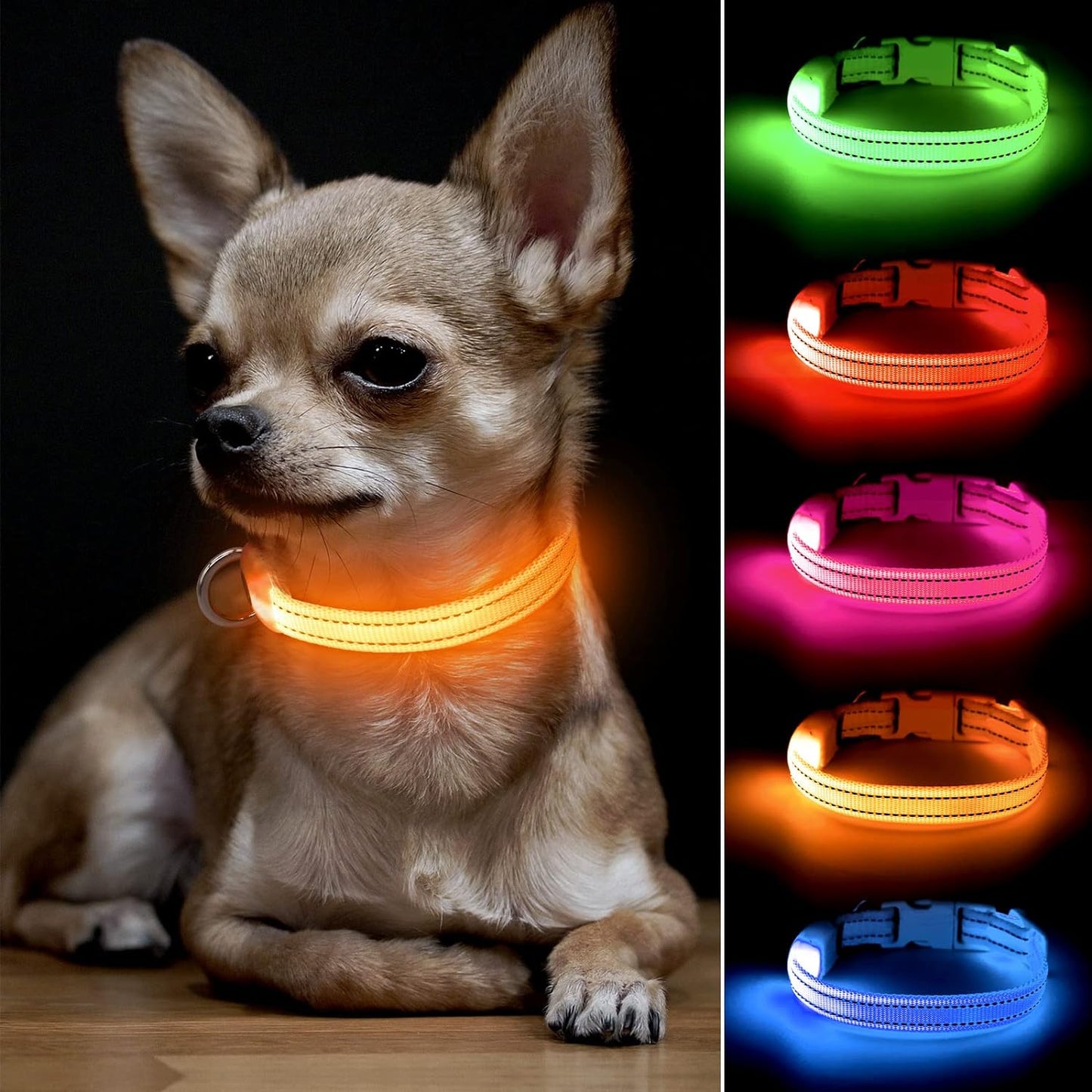 Light up Dog Collar - Reflective LED Dog Collar Rechargeable Glowing Cat Collars Adjustable Puppy Collar Safety Dog Lights for Night Walking (Blue, XS)