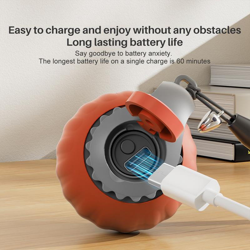 Electric Cat Toy Ball with Rope, Rechargeable Dog Ball Toy, Interactive Cat Teaser Toy, Automatic Rolling Ball Toy, Gift for Pets, Pet Supplies, Dog & Cat Accessories