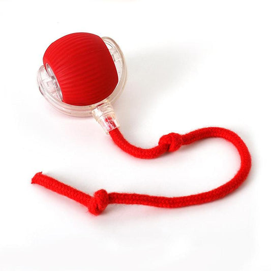 Electric Cat Toy Ball with Rope, Rechargeable Dog Ball Toy, Interactive Cat Teaser Toy, Automatic Rolling Ball Toy, Gift for Pets, Pet Supplies, Dog & Cat Accessories