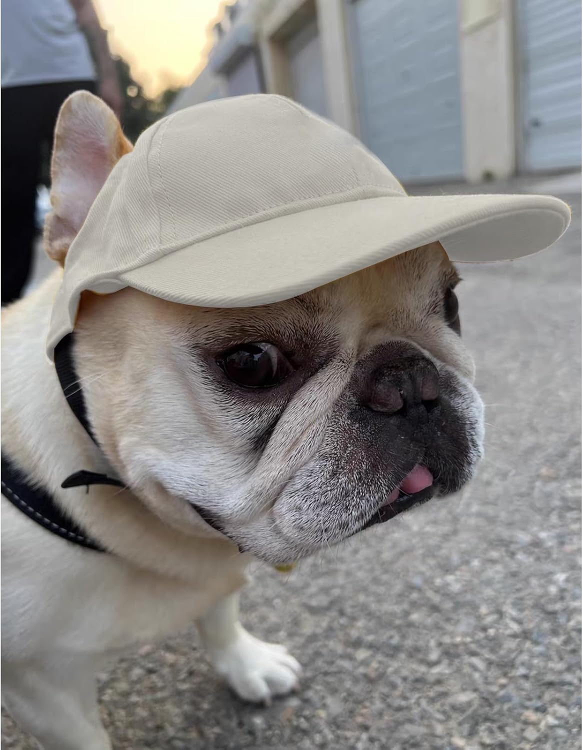 Dog Baseball Caps Hats with Neck Strap Adjustable Ear Holes for Small Dogs in Outdoor Sun Protection, Pet Casual Cap Visor Sunbonnet with Ear Holes, Summer Travel Sport Hat Outfit