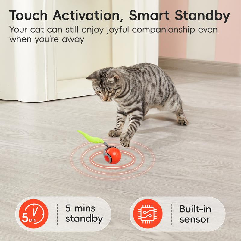 Potaroma Moving Ball Cat Toys with Feather Tail, 2025 New Rechargeable Ball for Indoor Cats Exercise, Smart Interactive Kitten Rolling Ball, Orange