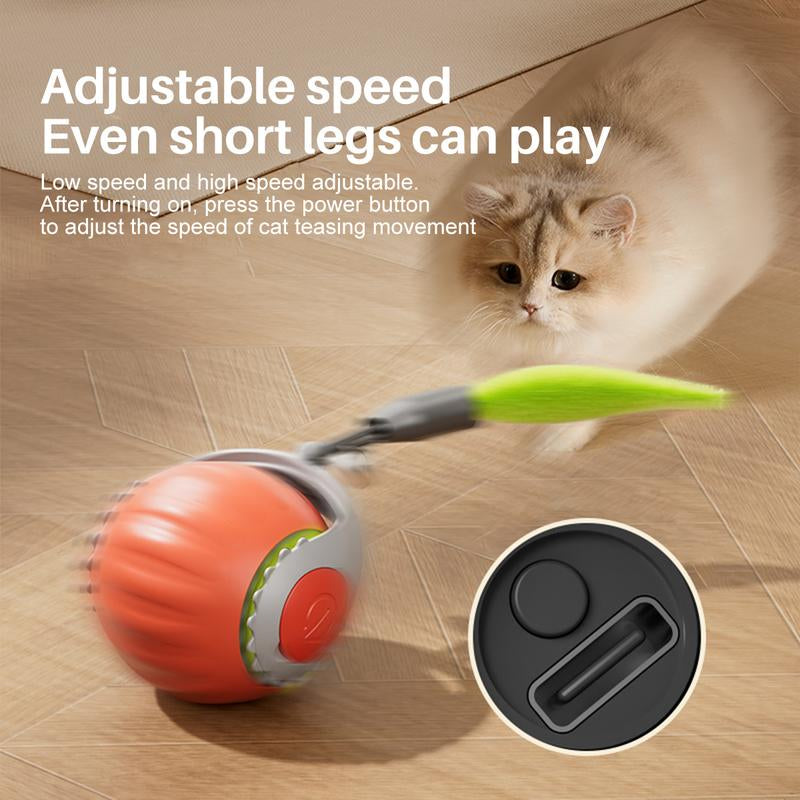 Electric Cat Toy Ball with Rope, Rechargeable Dog Ball Toy, Interactive Cat Teaser Toy, Automatic Rolling Ball Toy, Gift for Pets, Pet Supplies, Dog & Cat Accessories