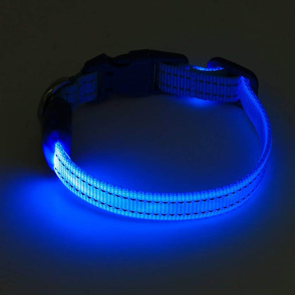 Light up Dog Collar - Reflective LED Dog Collar Rechargeable Glowing Cat Collars Adjustable Puppy Collar Safety Dog Lights for Night Walking (Blue, XS)