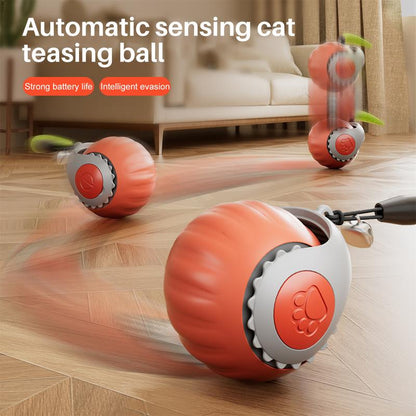 Electric Cat Toy Ball with Rope, Rechargeable Dog Ball Toy, Interactive Cat Teaser Toy, Automatic Rolling Ball Toy, Gift for Pets, Pet Supplies, Dog & Cat Accessories