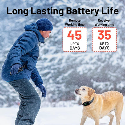 Dog Training Collar with Remote 3300Ft Range Waterproof Rechargeable Electric Collar for Small Medium Large Dogs