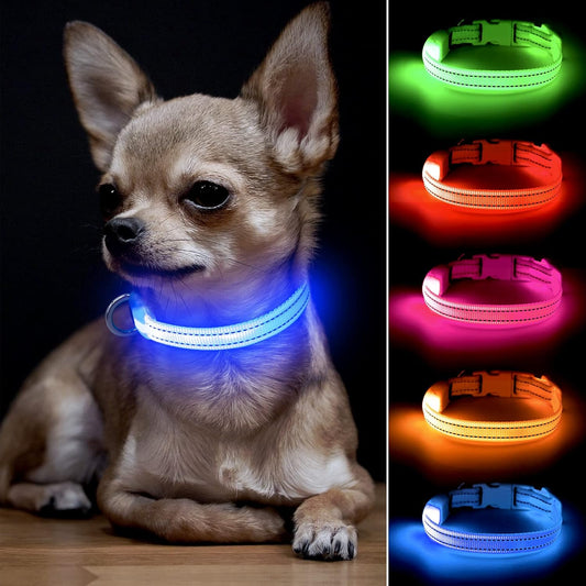 Light up Dog Collar - Reflective LED Dog Collar Rechargeable Glowing Cat Collars Adjustable Puppy Collar Safety Dog Lights for Night Walking (Blue, XS)