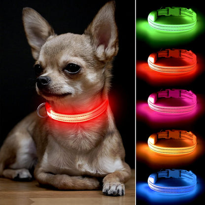 Light up Dog Collar - Reflective LED Dog Collar Rechargeable Glowing Cat Collars Adjustable Puppy Collar Safety Dog Lights for Night Walking (Blue, XS)